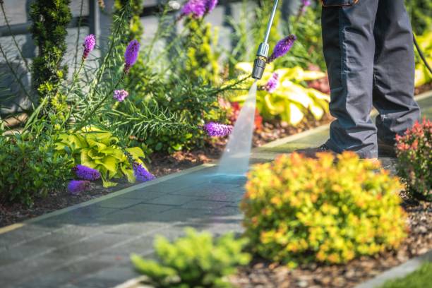 Best Dumpster Area Cleaning  in Mooresville, IN
